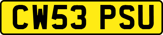 CW53PSU