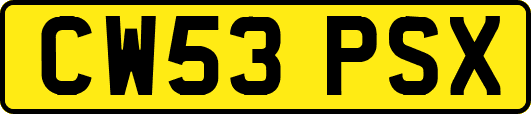 CW53PSX