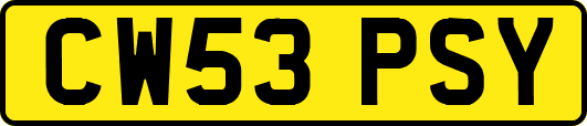 CW53PSY