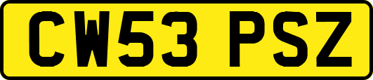 CW53PSZ