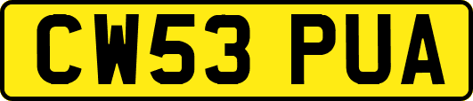 CW53PUA