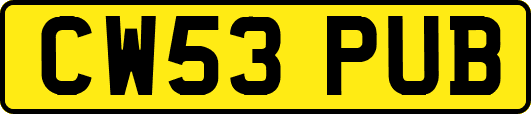 CW53PUB