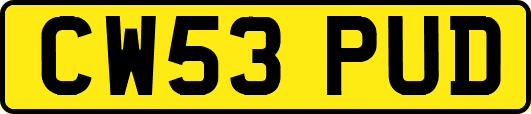 CW53PUD