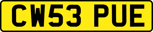 CW53PUE