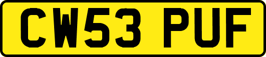 CW53PUF