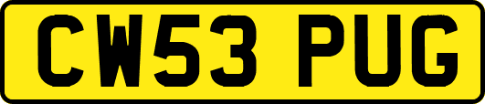CW53PUG