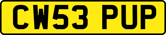 CW53PUP