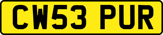 CW53PUR