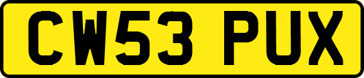 CW53PUX