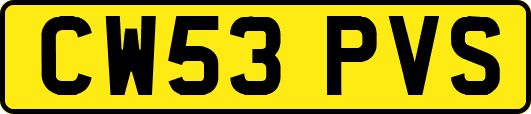 CW53PVS