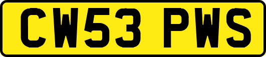 CW53PWS