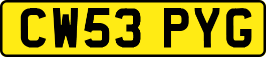 CW53PYG