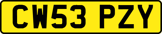 CW53PZY