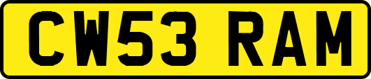 CW53RAM