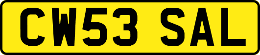 CW53SAL