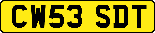 CW53SDT
