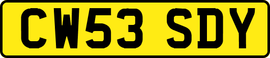 CW53SDY