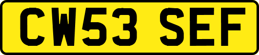 CW53SEF