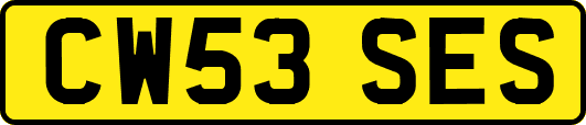 CW53SES