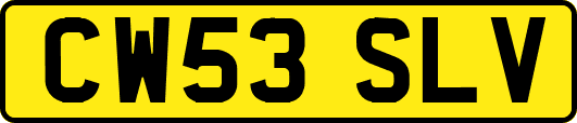 CW53SLV