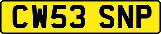 CW53SNP
