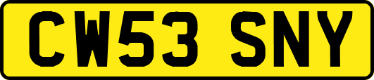 CW53SNY