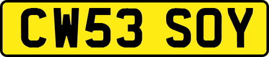 CW53SOY