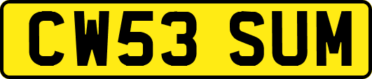 CW53SUM
