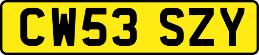 CW53SZY