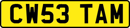CW53TAM