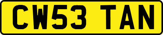 CW53TAN