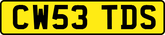 CW53TDS