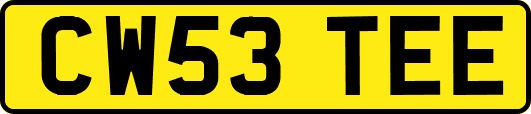 CW53TEE