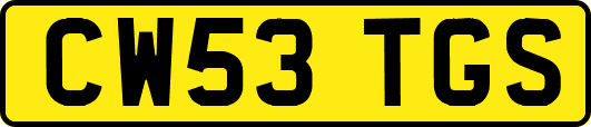 CW53TGS