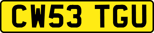 CW53TGU