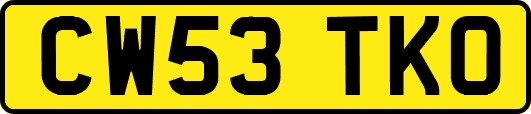 CW53TKO