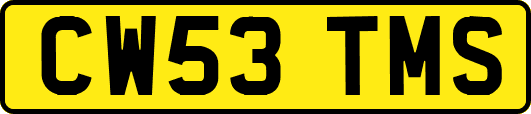 CW53TMS