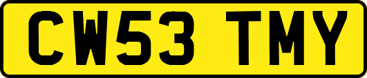 CW53TMY