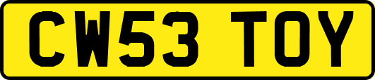 CW53TOY