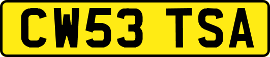 CW53TSA
