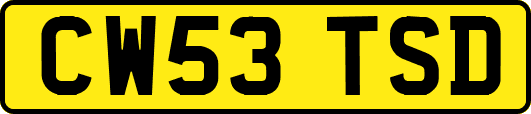 CW53TSD