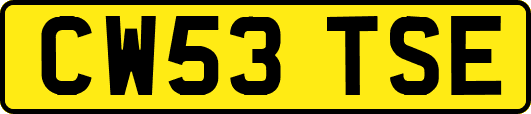 CW53TSE