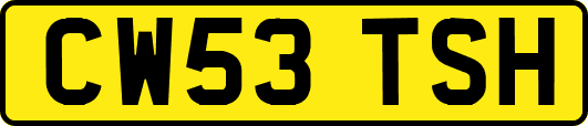 CW53TSH