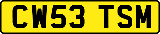 CW53TSM
