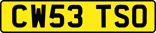 CW53TSO