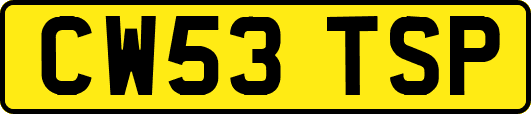 CW53TSP