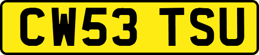 CW53TSU