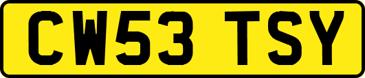 CW53TSY