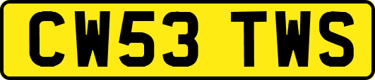 CW53TWS