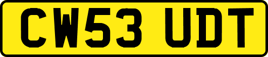 CW53UDT